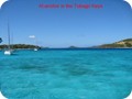 pix1230_20